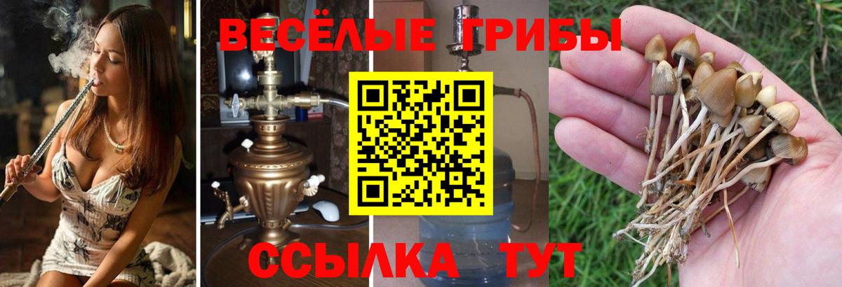 Аксай  Галлюциногенные грибы мицелий  Вход с VPN  Галлюциногенные грибы мицелий 